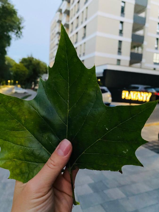 Rodzinny Apartament Platany Centrum Kołobrzeg Eksteriør billede